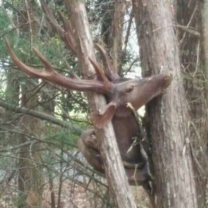 Meet your Posher, Bryan